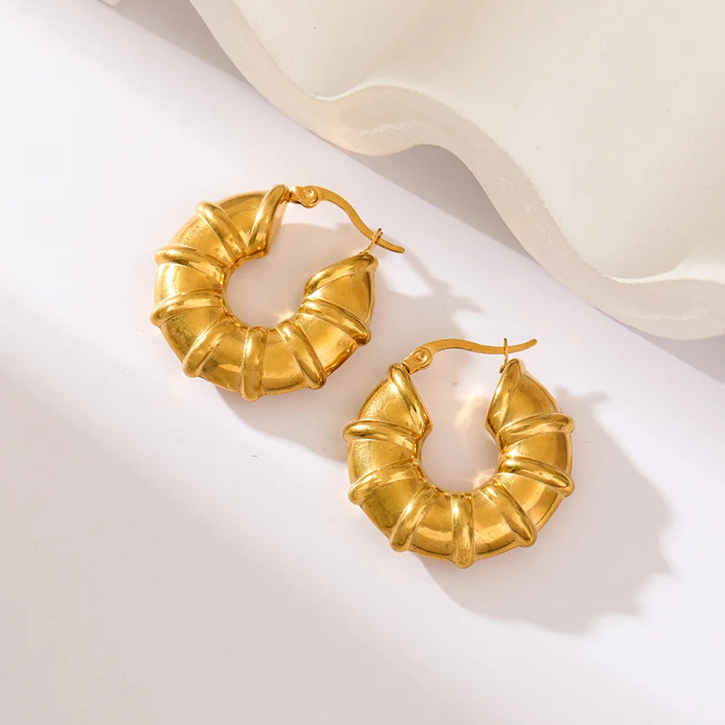 Classic Elegant Hoop Earrings E244