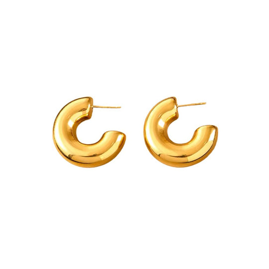 Classic Elegant Hoop Earrings E244